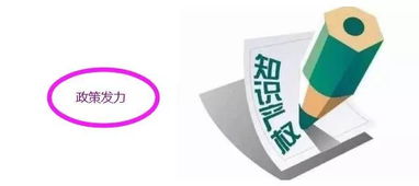 知識產(chǎn)權(quán)新風(fēng)口來臨 最強(qiáng)概念股全解析